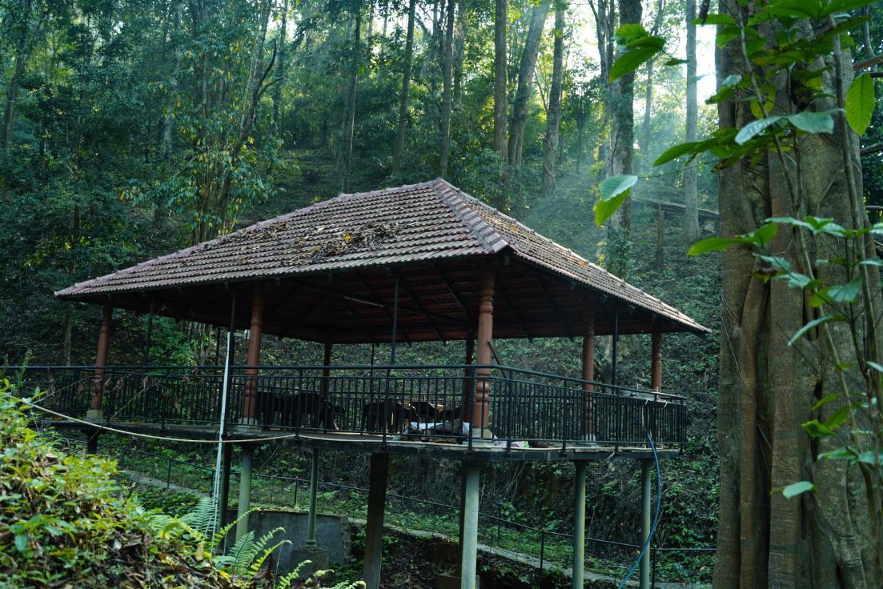 Qexperiences Coorg Madikeri Exterior foto